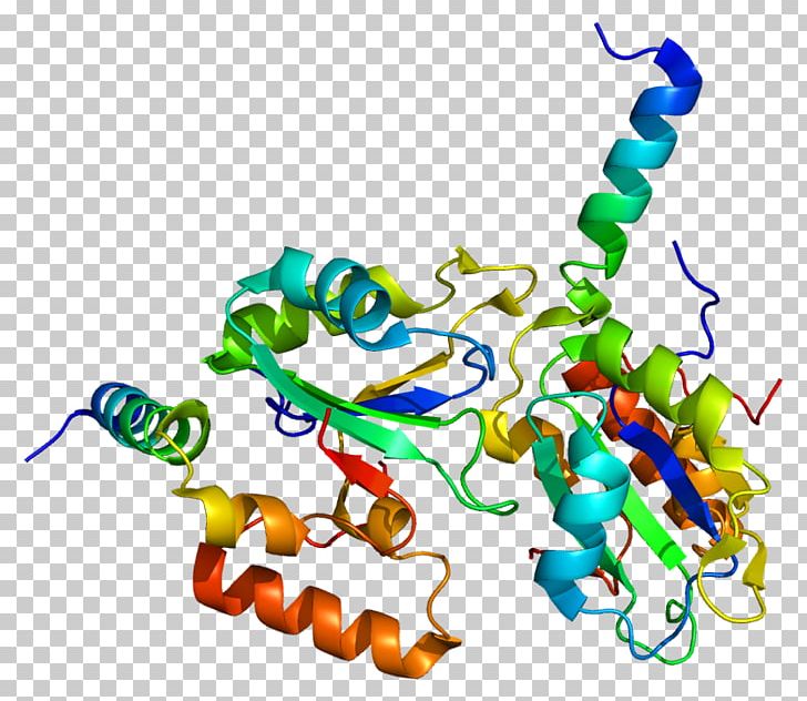 RNA Splicing Gene SF3B1 Protein Spliceosome PNG, Clipart, Area, Artwork, Body Jewelry, Gene, Genetic Code Free PNG Download