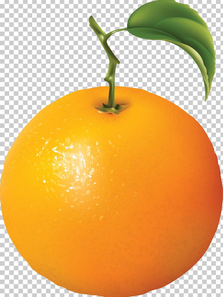 Orange Fruit PNG, Clipart, Animation, Bitter Orange, Citric Acid, Citrus, Cleaneating Free PNG Download