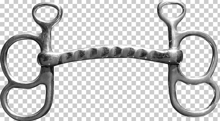 Snaffle Bit Horse Sweet Iron Curb Chain PNG, Clipart, Animals, Avis, Bit, Body Jewelry, Chain Free PNG Download