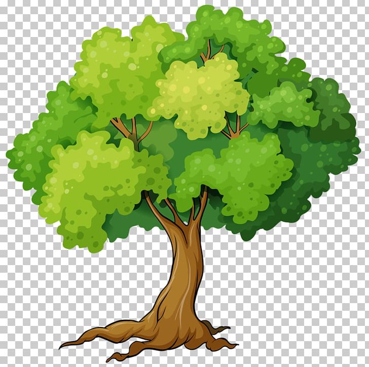 Tree Graphics Illustration Book PNG, Clipart, Arbor Day, Book, Book Illustration, Branch, Grapevine Family Free PNG Download