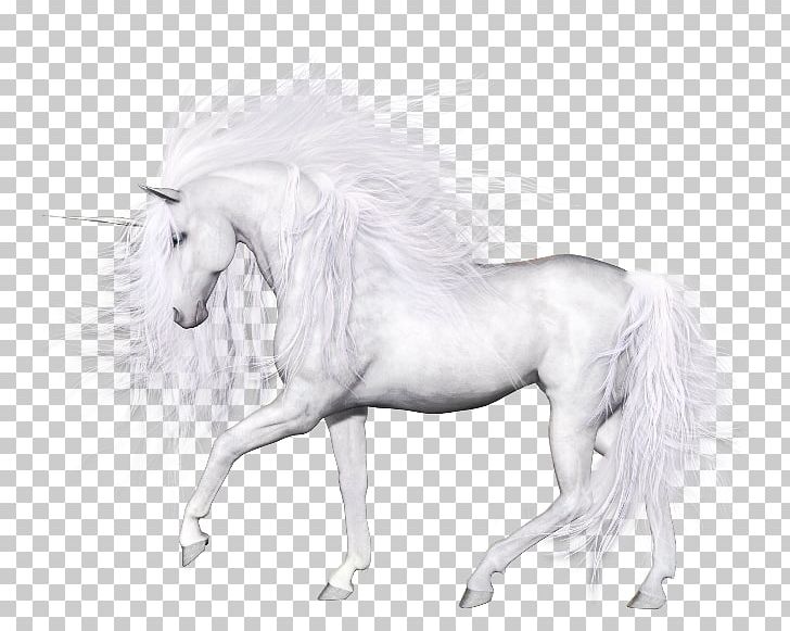 Unicorn Horse PNG, Clipart, At Resimleri, Beyaz At, Black And White, Computer Icons, Data Free PNG Download