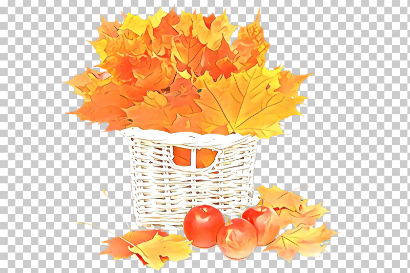 Maple Leaf PNG, Clipart, Autumn, Cut Flowers, Flower, Leaf, Maple Free PNG Download