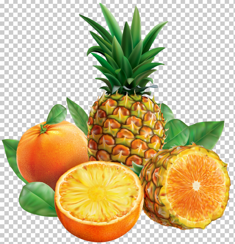 Pineapple PNG, Clipart, Ananas, Citrus, Food, Fruit, Mandarin Orange Free PNG Download