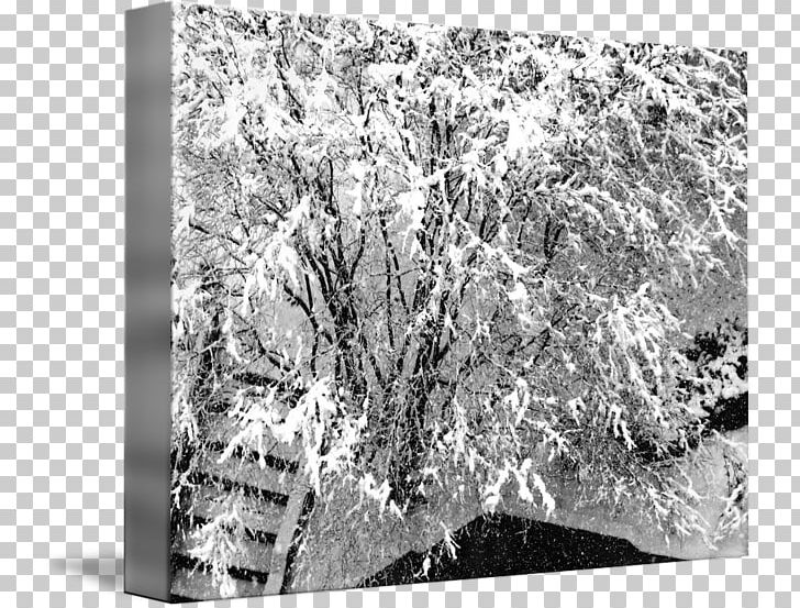 Gallery Wrap Canvas Stock Photography Art PNG, Clipart, Art, Black And White, Blizzard, Canvas, Gallery Wrap Free PNG Download