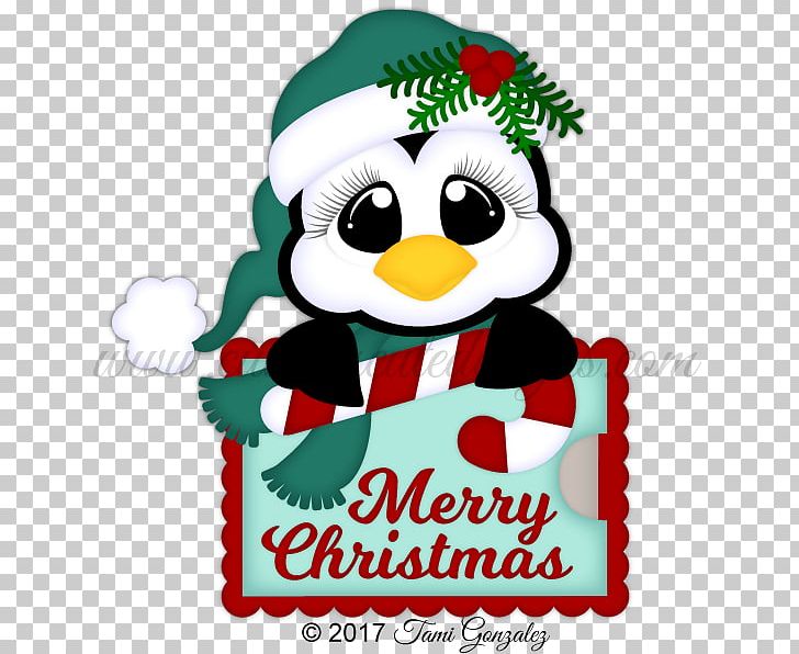 Gift Card Santa Claus Christmas Ornament PNG, Clipart, Beak, Bird, Card Holder, Christmas, Christmas Decoration Free PNG Download