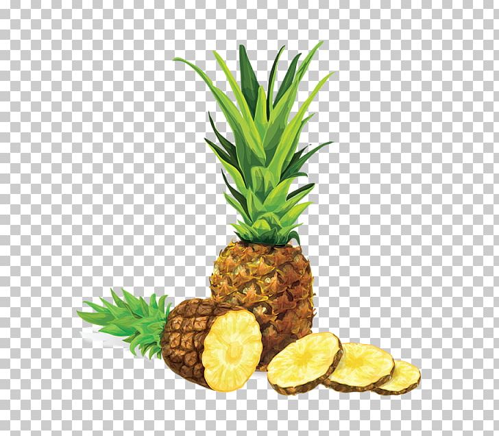 Juice Pineapple PNG, Clipart, Ananas, Art, Bromeliaceae, Drawing, Flowerpot Free PNG Download