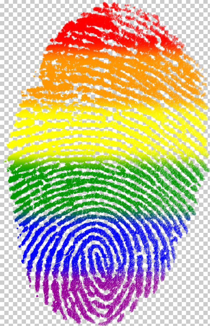 Rainbow Flag Pride Parade Gay Pride LGBT PNG, Clipart, Berlin Pride, Bisexuality, Circle, Fingerprint, Gay Free PNG Download