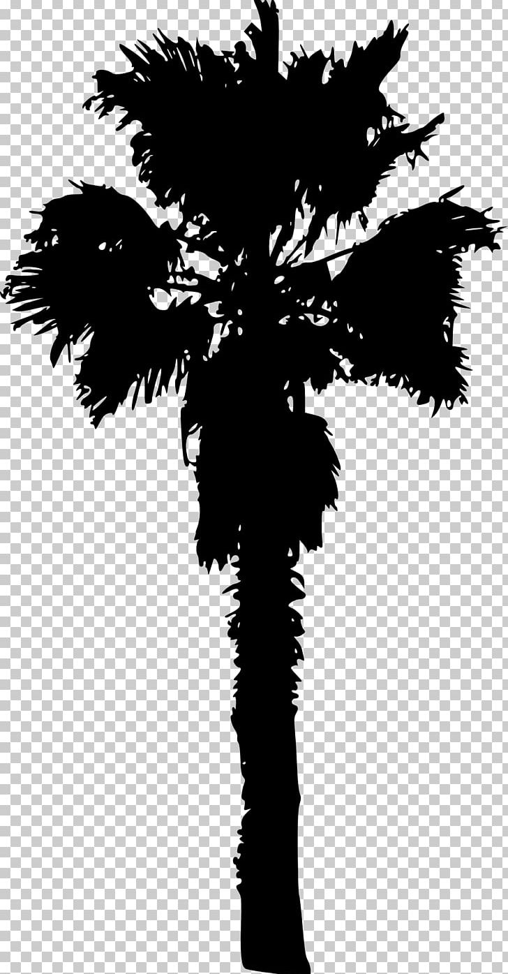 Tree Woody Plant Arecaceae PNG, Clipart, Arecaceae, Arecales, Black And White, Branch, Cross Free PNG Download