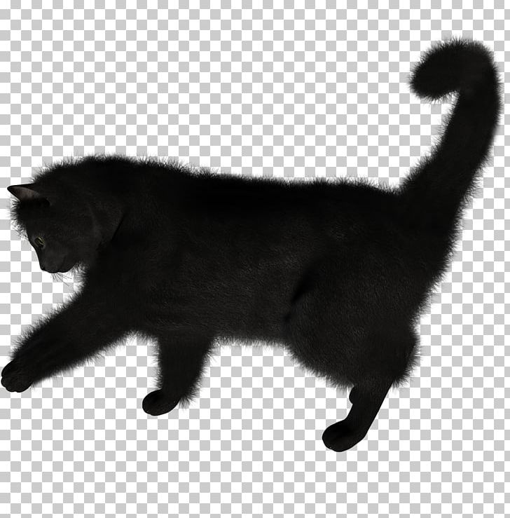 Black Cat Kitten Computer Icons PNG, Clipart, Animals, Black, Black Cat, Bombay, Carnivoran Free PNG Download