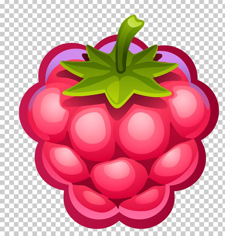 Raspberry Muffin PNG, Clipart, Apple, Berry, Blackberry, Clip, Computer Icons Free PNG Download