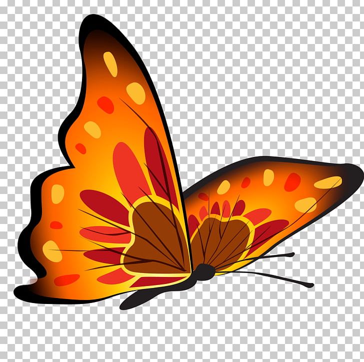 Butterfly Drawing PNG, Clipart, Acordeon, Art, Arthropod, Brush Footed Butterfly, Butterflies And Moths Free PNG Download