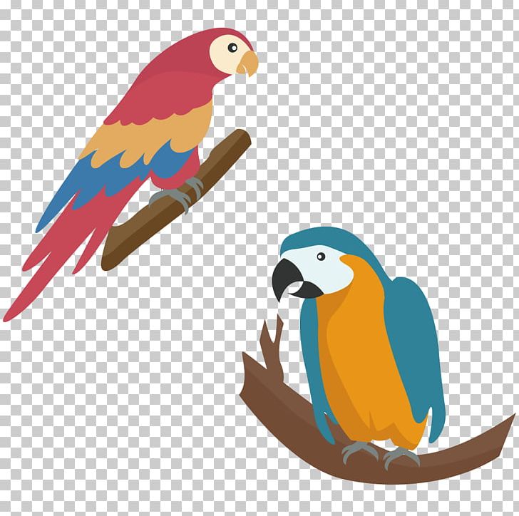 Parrot Touch Fruit : Preschool Game Simple Game For Kids Diamant Koninkrijk Koninkrijk PNG, Clipart, Animal, Animals, Autumn Tree, Beak, Bird Free PNG Download