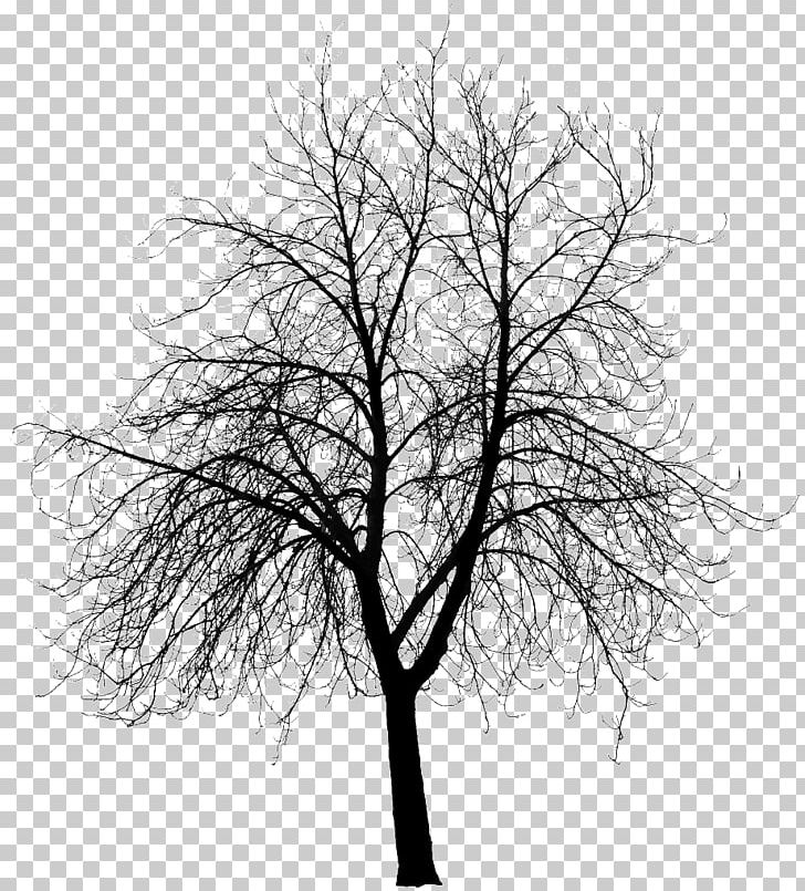 Sunrise Sky My Baby Is Gone Drawing PNG, Clipart, Analyst, Architecture, Art, Black And White, Branch Free PNG Download