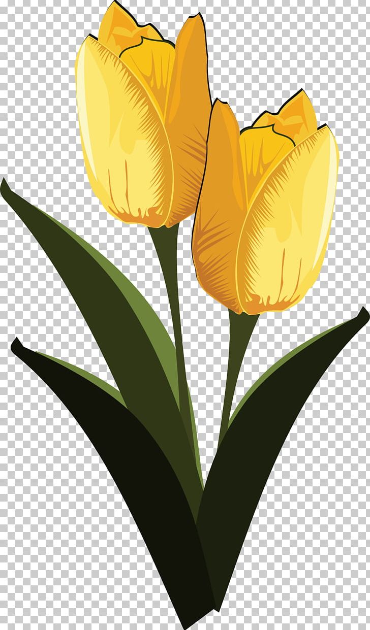 Flower PNG, Clipart, Decoupage, Desktop Wallpaper, Download, Flower, Flowering Plant Free PNG Download