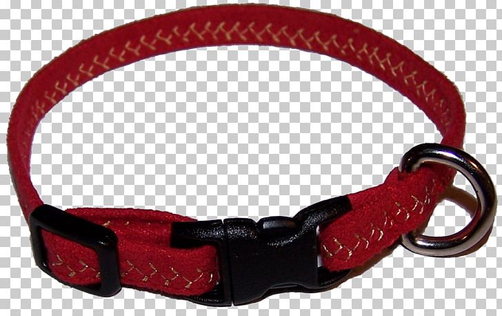 Leash Cat Dog Collar PNG, Clipart, Cat, Cat Dog, Collar, Collars, Dog Free PNG Download