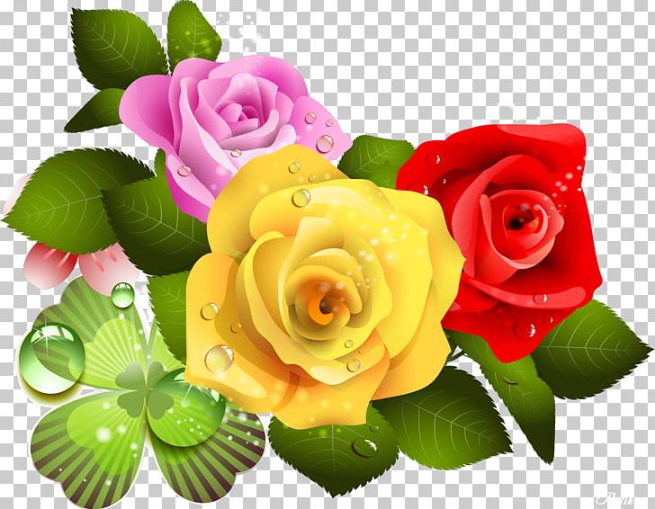 Photography Desktop PNG, Clipart, Cut Flowers, Drops, Floral Design, Floristry, Flower Free PNG Download
