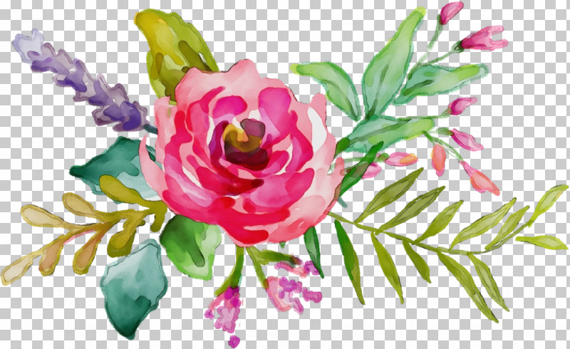 Floral Design PNG, Clipart, Cabbage Rose, Cut Flowers, Floral Design, Flower, Flower Bouquet Free PNG Download