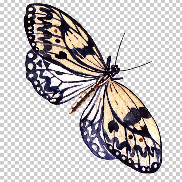 Butterfly Painting Information PNG, Clipart, Arthropod, Blue Butterfly, Brush Footed Butterfly, Butterflies, Butterfly Group Free PNG Download
