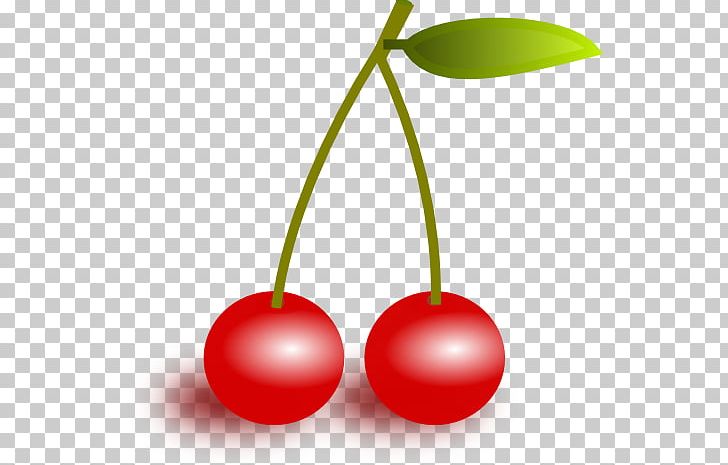 Cherry Fruit PNG, Clipart, Blog, Cherry, Flowering Plant, Food, Fruit Free PNG Download