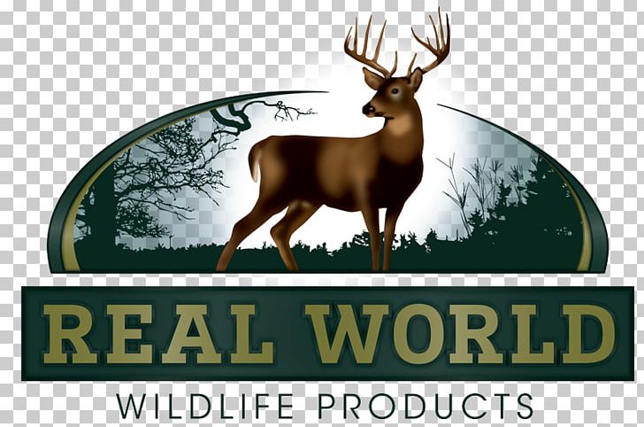Realworld Wildlife Seed Deer Food Plot Hunting PNG, Clipart, Animals, Antler, Company, Deer, Deer Hunting Free PNG Download