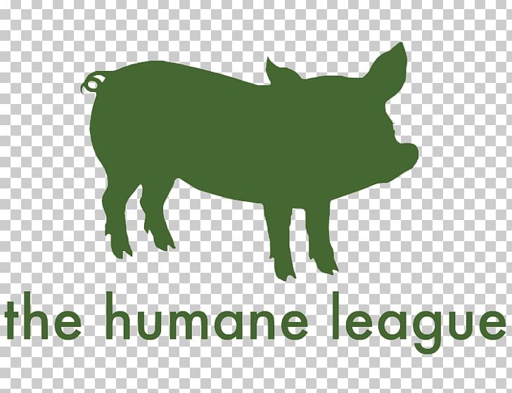 The Humane League Charitable Organization Animal Rights Non-profit Organisation PNG, Clipart, Animal, Animal Rescue Group, Animal Welfare, Carnivoran, Cruelty To Animals Free PNG Download