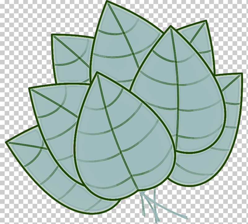 Ivy PNG, Clipart, Anthurium, Flower, Ivy, Leaf, Plant Free PNG Download