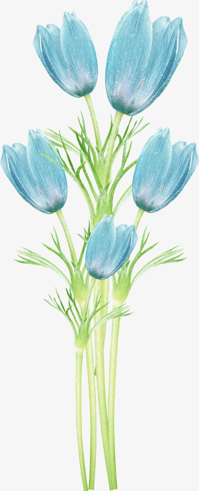 Blue Flowers PNG, Clipart, Blue Clipart, Flowers, Flowers Clipart, Squid Free PNG Download