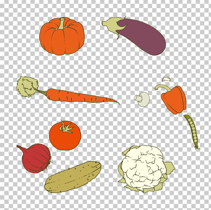 Carrot Vegetarian Cuisine Vegetable Pumpkin PNG, Clipart, Carrot, Cooking, Cuisine, Daucus Carota, Decorative Figure Free PNG Download