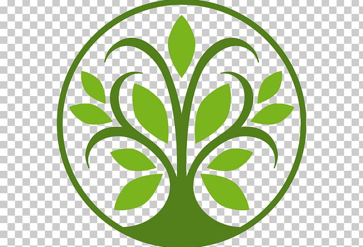 Tree Logo Leaf PNG, Clipart, Area, Branch, Circle, Flora, Flower Free PNG Download