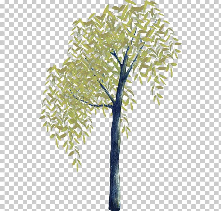 Twig Branch Plant Stem Tree Time PNG, Clipart, Agac, Branch, Flora, Nature, Organism Free PNG Download