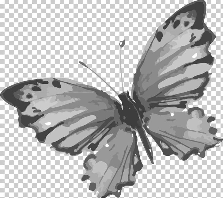 Butterfly Chinoiserie Drawing PNG, Clipart, Black And White, Brush Footed Butterfly, China, Creative Ads, Creative Artwork Free PNG Download
