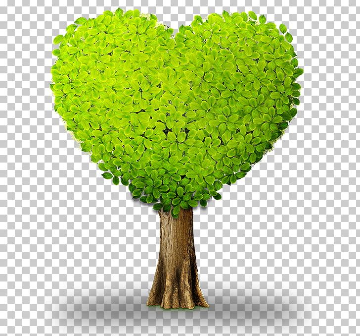 Heart Green Tree Information PNG, Clipart, Color, Designer, Download, Environmental Protection, Flowerpot Free PNG Download