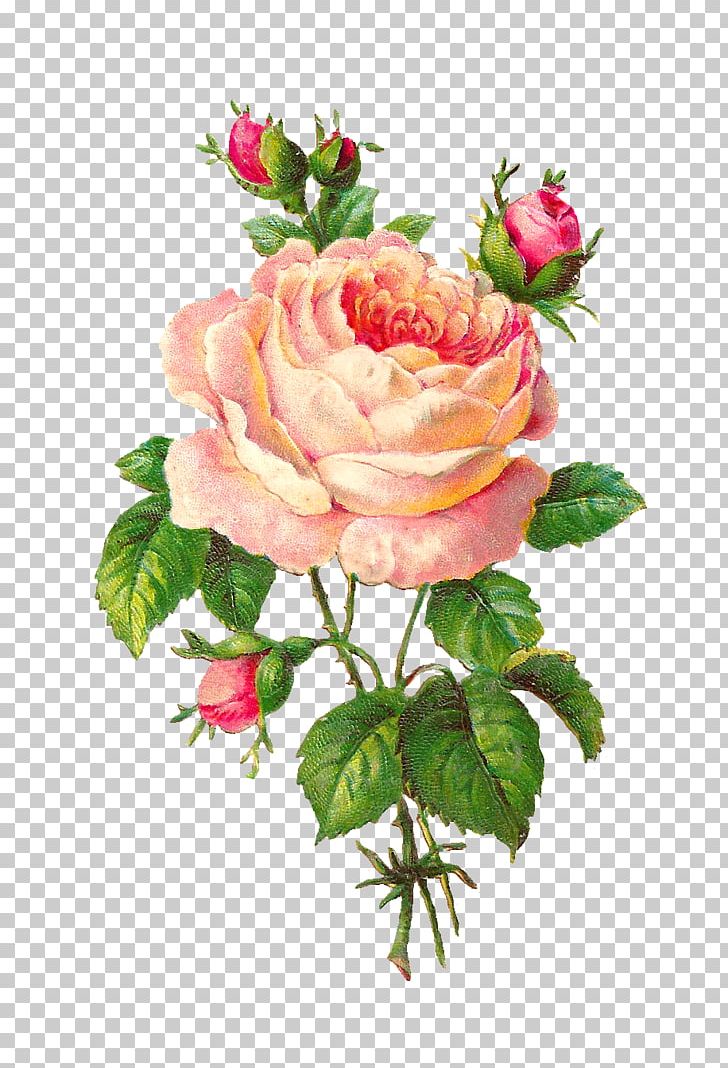 Rose Flower Pink Floral Design PNG, Clipart, Artificial Flower, Bud, Collage, Cut Flowers, Floribunda Free PNG Download