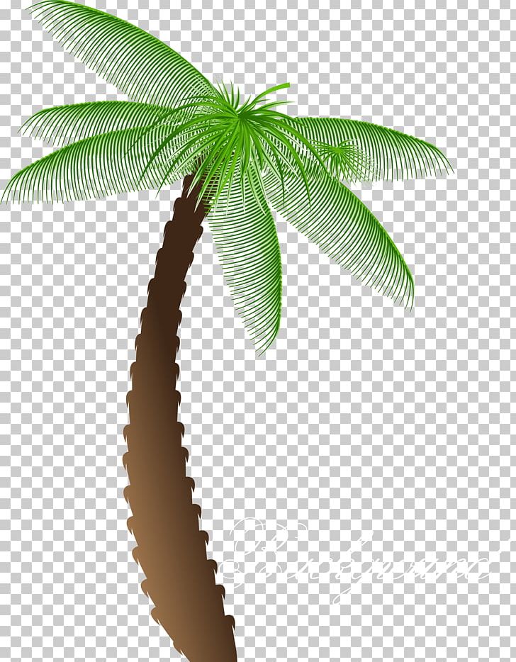 Arecaceae Tree Cartoon PNG, Clipart, Arecaceae, Arecales, Balloon Cartoon, Cartoon, Cartoon Couple Free PNG Download