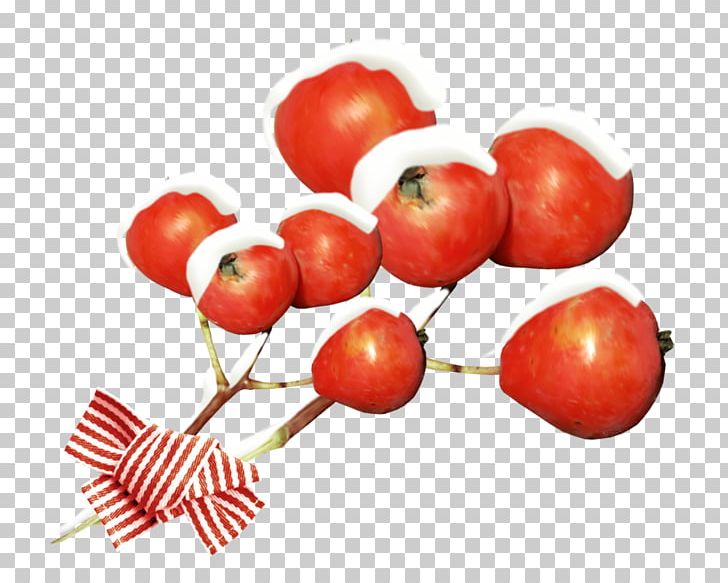 Barbados Cherry Accessory Fruit Rose Hip Food Pomegranate PNG, Clipart, Accessory Fruit, Acerola, Acerola Family, Apple, Barbados Cherry Free PNG Download