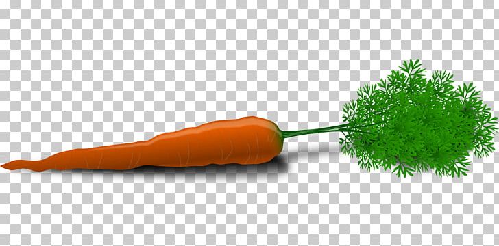 Carrot Vegetable PNG, Clipart, Beetroot, Carrot, Carrot And Stick, Carrots, Clip Art Free PNG Download