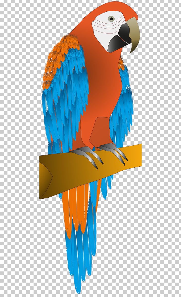 Macaw Parrot Budgerigar Bird Parakeet PNG, Clipart, Animals, Beak, Bird, Bird Of Prey, Budgerigar Free PNG Download