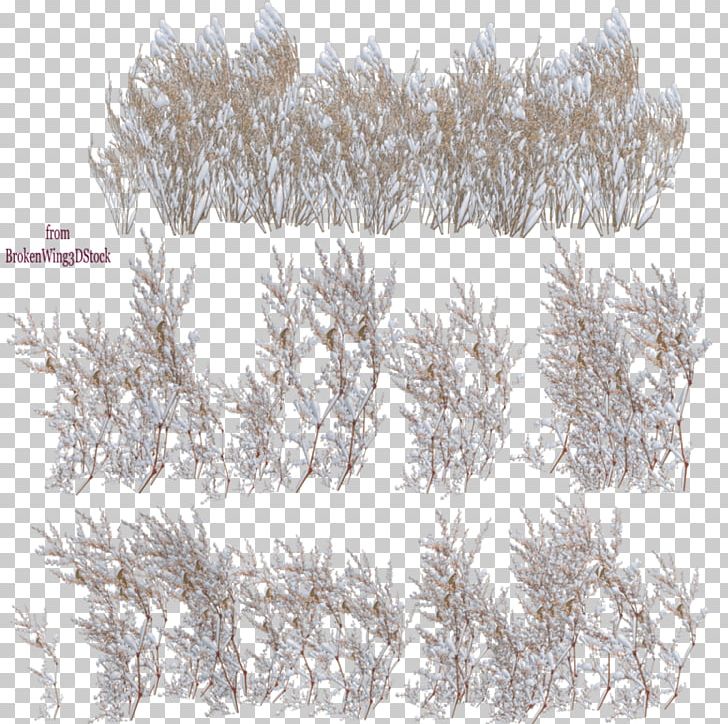 Tree Snow PNG, Clipart, Black And White, Blizzard, Branch, Conifer, Evergreen Free PNG Download