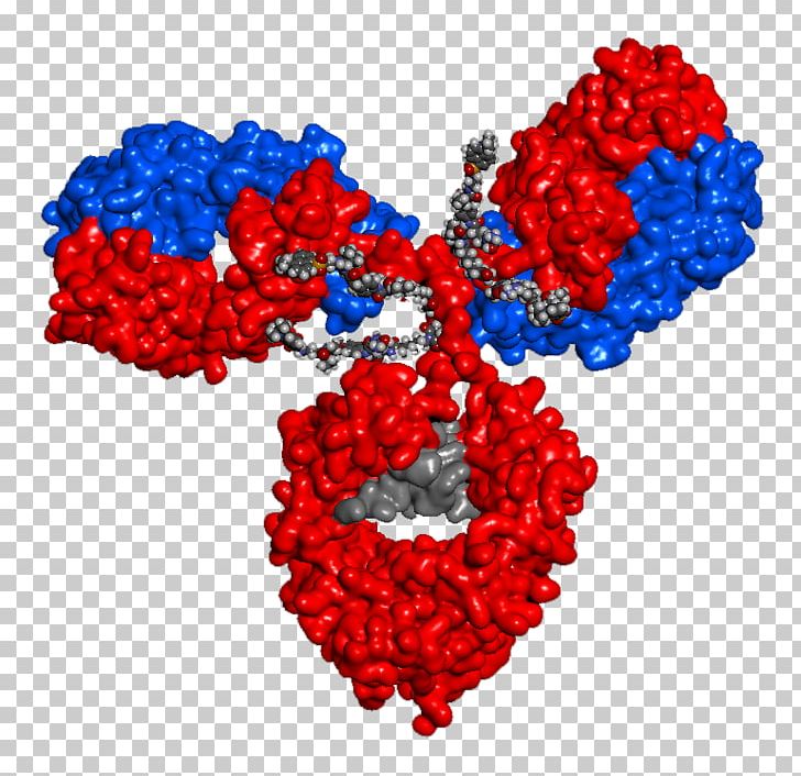 Antibody-drug Conjugate Immunology Biologic Immune System PNG, Clipart, Animation, Antibody, Antibodydrug Conjugate, Biologic, Crystal Structure Free PNG Download
