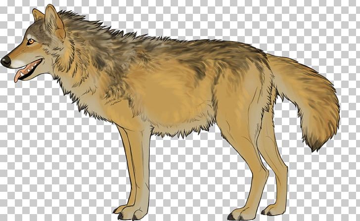 Kunming Wolfdog Coyote Red Wolf Jackal PNG, Clipart, Animal, Carnivoran, Coyote, Dog Like Mammal, Fauna Free PNG Download