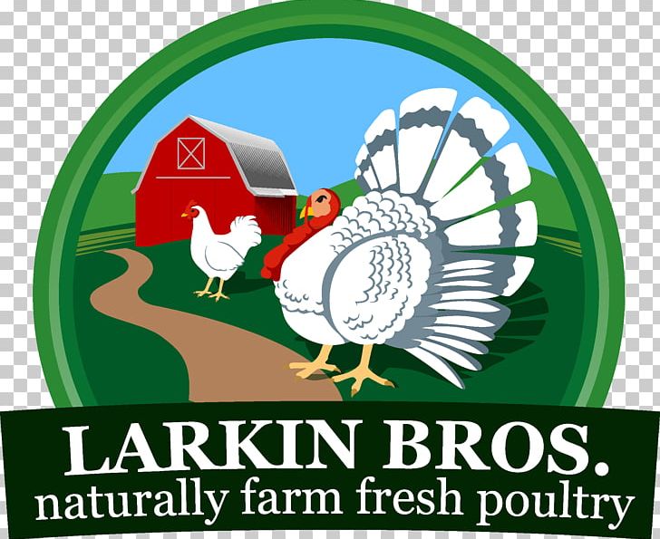 Larkin Brothers Inc. Turkey Food Farm Chicken PNG, Clipart,  Free PNG Download