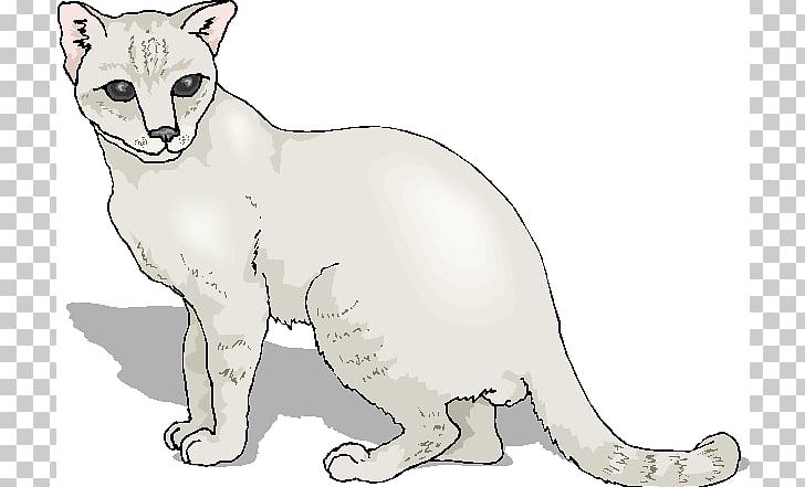 Wildcat Kitten Whiskers PNG, Clipart, Artwork, Black And White, Blog, Carnivoran, Cat Free PNG Download