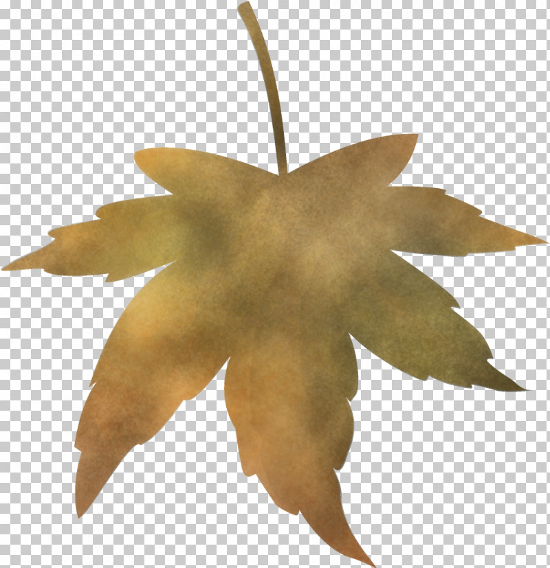 Maple Leaf Fallen Leaf Dead Leaf PNG, Clipart, Autumn Leaf, Black Maple, Dead Leaf, Fallen Leaf, Flower Free PNG Download