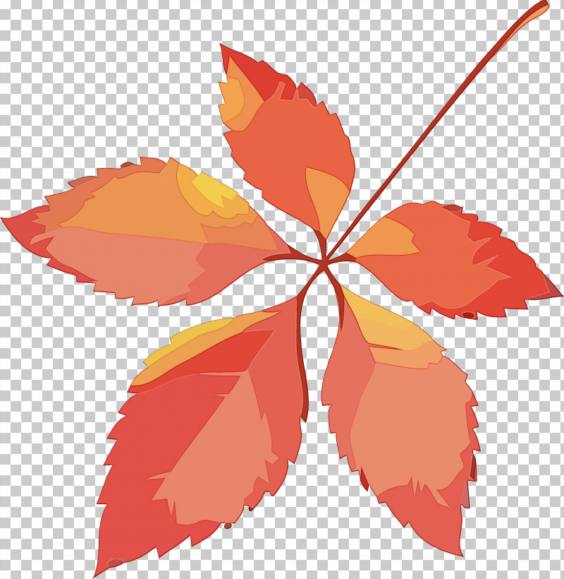 Maple Leaf PNG, Clipart, Autumn Leaf, Leaf, Maple Leaf, Orange, Paint Free PNG Download