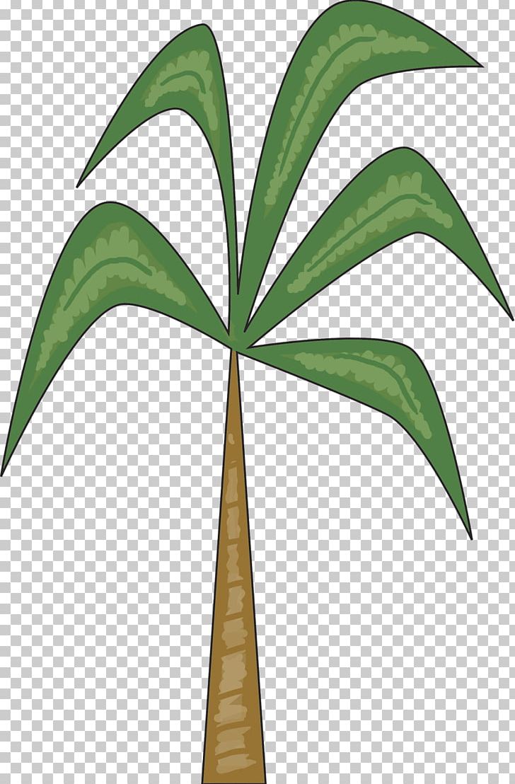 Arecaceae Leaf Plant Stem Tree PNG, Clipart, Arecaceae, Arecales, Chicka Chicka Boom Boom, Leaf, Palm Tree Free PNG Download