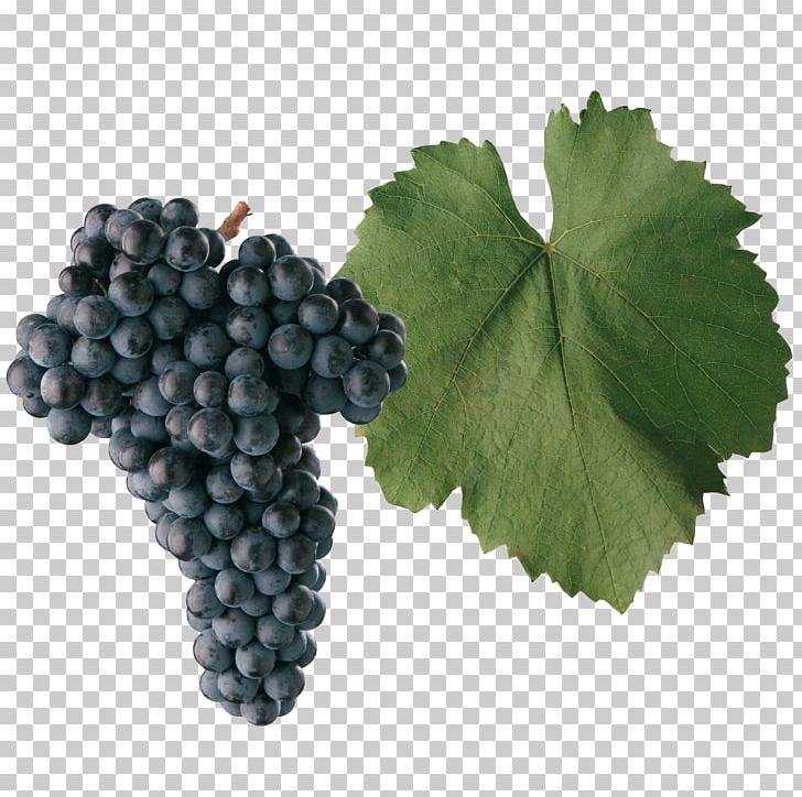 Frankish And Hunnic Grape Varieties Blaufränkisch Gouais Blanc Wine PNG, Clipart, Food, Fruit, Fruit Nut, Grape, Grape Leaves Free PNG Download