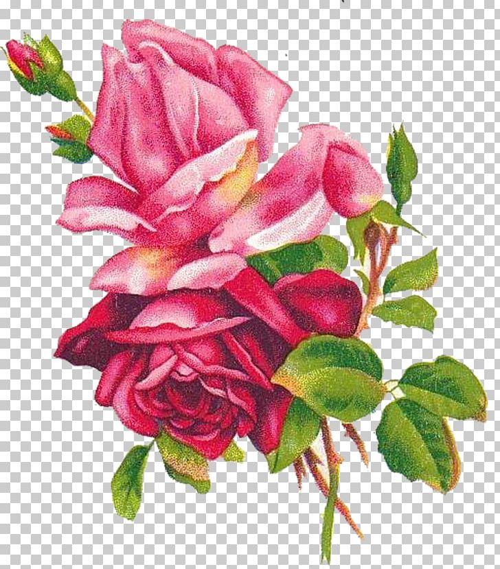 Beach Rose Flower Blue Rose Painting Drawing PNG, Clipart, Artificial Flower, Beach Rose, Blue, Blue Rose, China Rose Free PNG Download