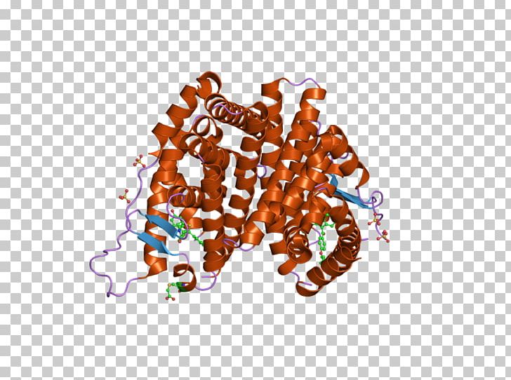 Estrogen Receptor Alpha Nuclear Receptor DNA-binding Domain PNG, Clipart, Dnabinding Domain, Dnabinding Protein, Estrogen, Estrogen Receptor, Estrogen Receptor Alpha Free PNG Download