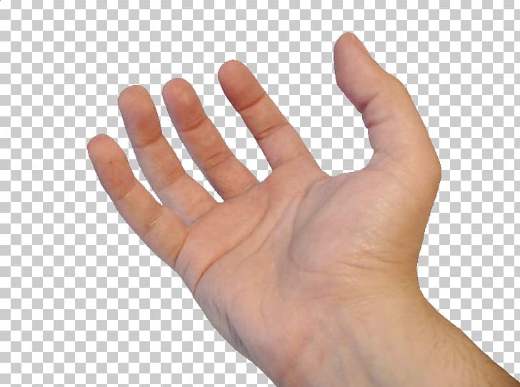 Thumb Hand Model Nail PNG, Clipart, Finger, Hand, Hand Model, Nail, Thumb Free PNG Download