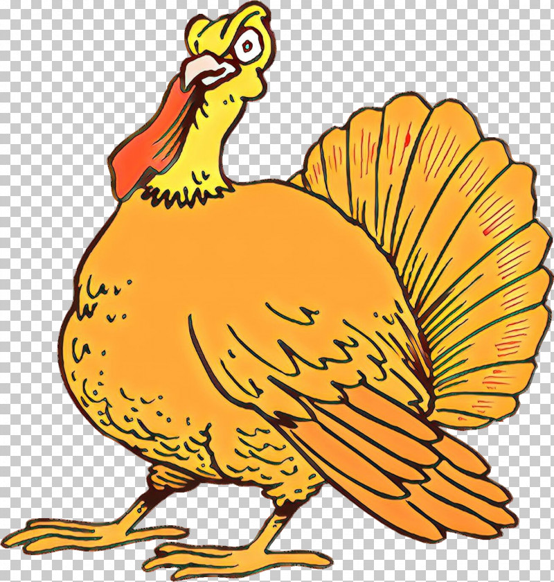 Thanksgiving PNG, Clipart, Beak, Bird, Chicken, Tail, Thanksgiving Free PNG Download